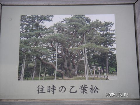 s_pict0120.jpg